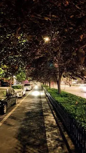 一组新密夜景图片,哪个场景最熟悉?_街道