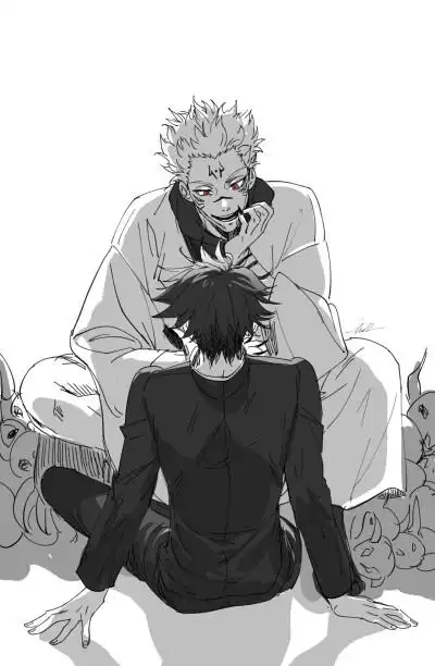 伏黑惠两面宿傩