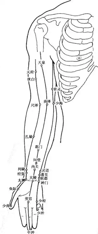 人体穴位高清图解大全人体全部穴位图解人体穴位大全