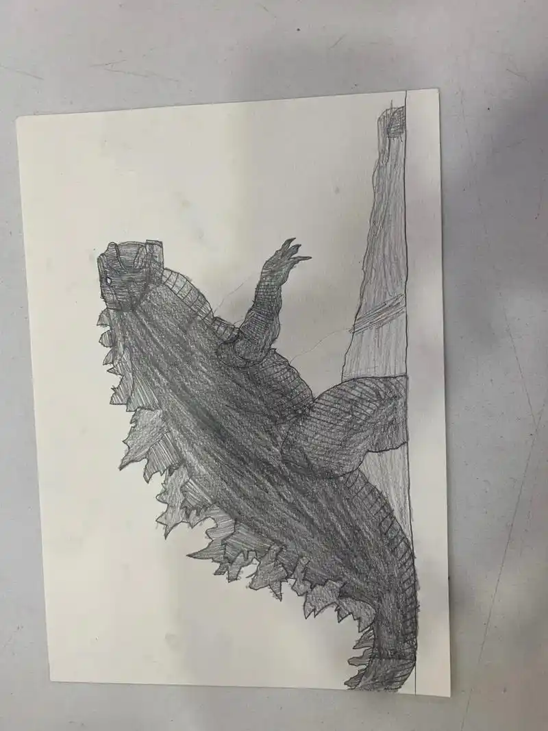 哥斯拉大战基多拉.#爱画画的男孩 - 抖音