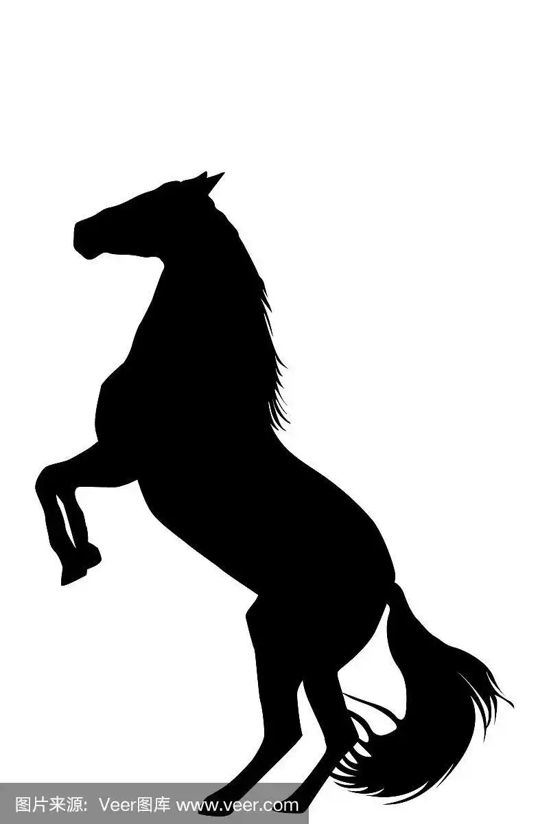白色背景上直立的马的剪影