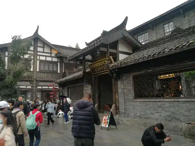 成都印象,并不遥远的乡愁. 一一2020年10日31日夜于成都