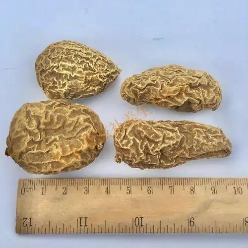 中药材金果榄地苦胆苦地胆九龙胆50g金果榄个子100g