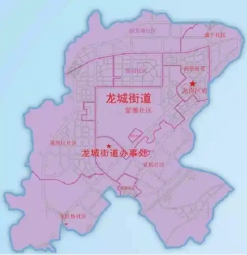 深圳市龙岗区龙城街道清扫清运及转运站管理服务项目