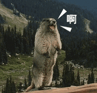 212_203gif 动态图 动图