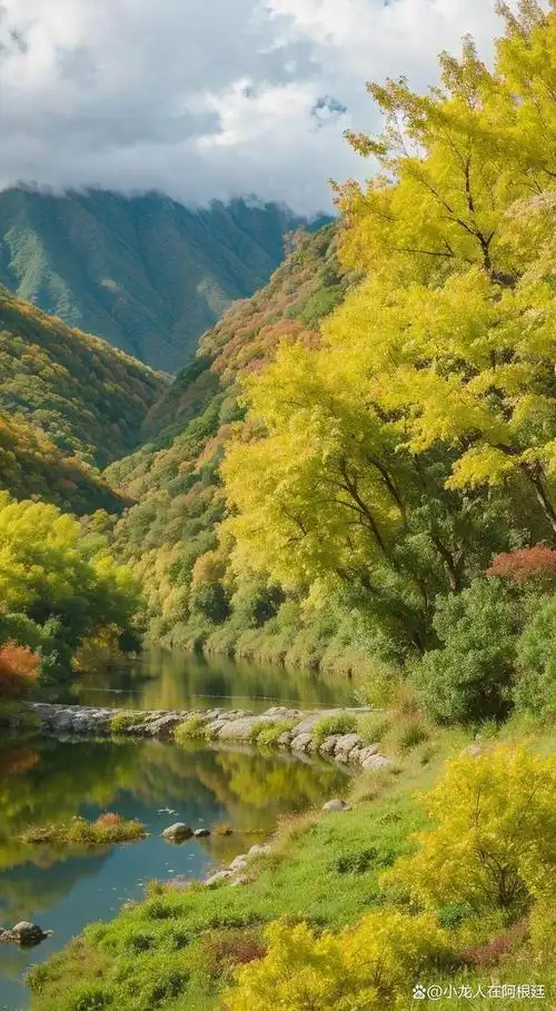 新疆阿勒泰的秋日喀纳斯风景如诗如画,展现出一片宁静与壮美的自然