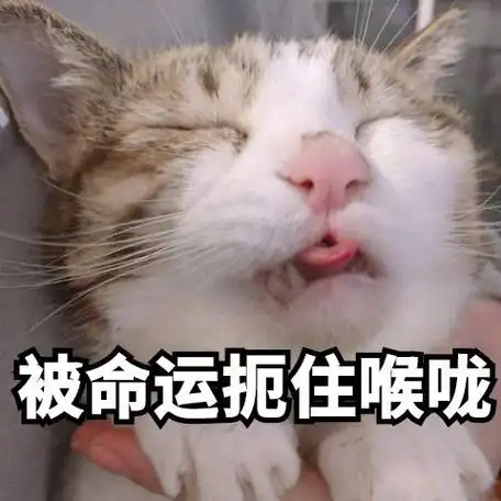 我要扼住命运咽喉是谁说的(命运交响曲鼓励我要做扼住命运喉咙的强者)