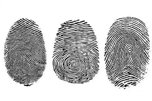 幼儿简单科学实验:认识指纹(步骤图解)6