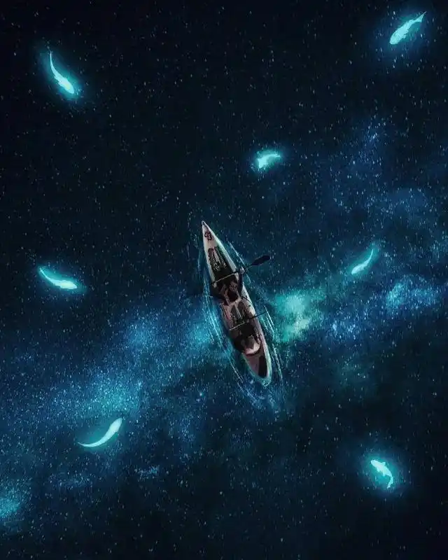 人生本来一场空,有无之间的更替便是人生