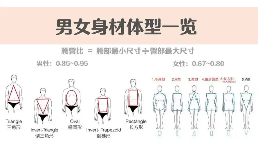 腰臀比计算公式 - 简书