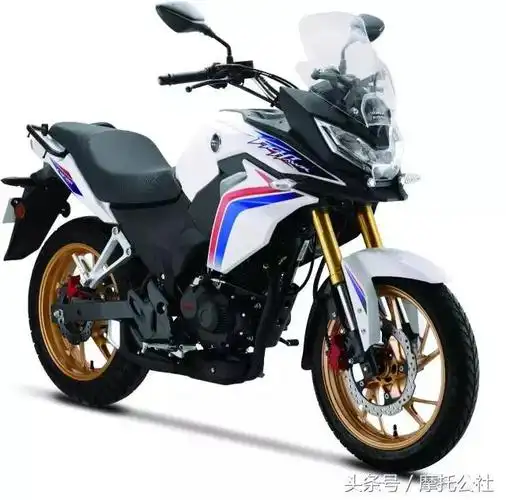 五羊本田190拉力车终于曝光_本田摩托车_新车_摩信网