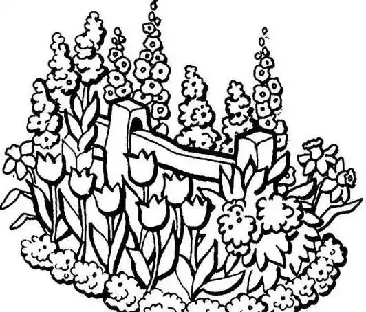 美丽的花园简笔画8月最新 美丽的花园风景简笔画