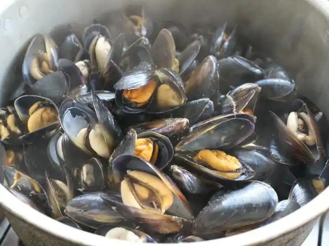 海鲜中的海虹长什么样