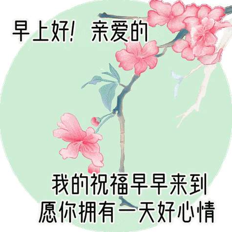 早安最美动态图片大全2021早安问候动态表情包
