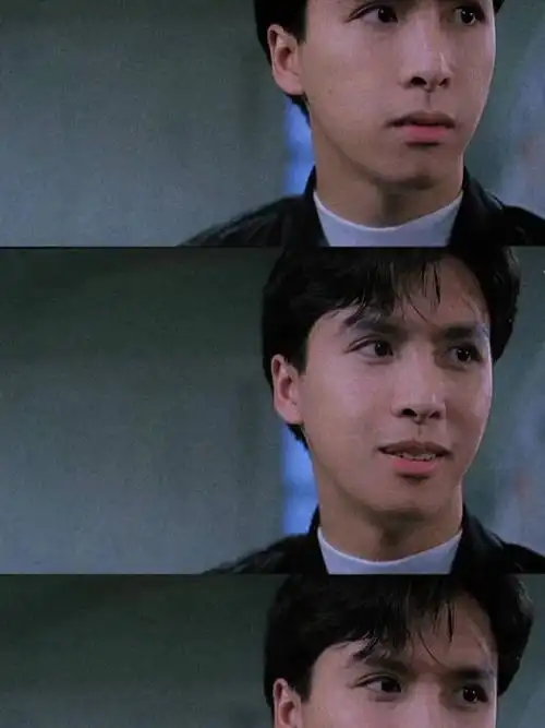 甄子丹年轻时是真的帅