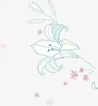 花卡通百合花aipng百合花花瓣百合花矢量图aipng金色质感装饰唯美花卉