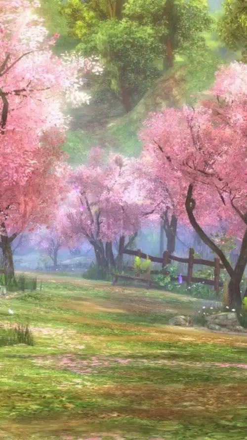浪漫樱花手机壁纸