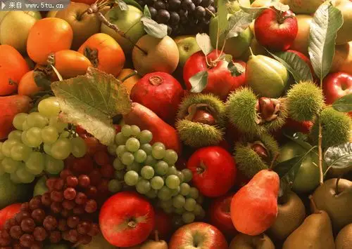 各类水果素材图片 -蔬菜瓜果类-百图汇素材网