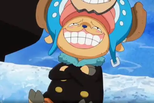 海贼王:当乔巴,娜美,山治和弗兰奇互换身体之后,罗宾有意见了