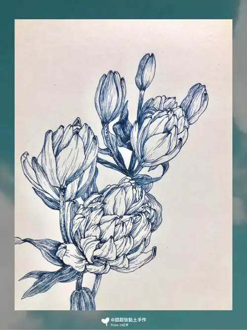 02植物花卉绿色重瓣亚百合白描线稿