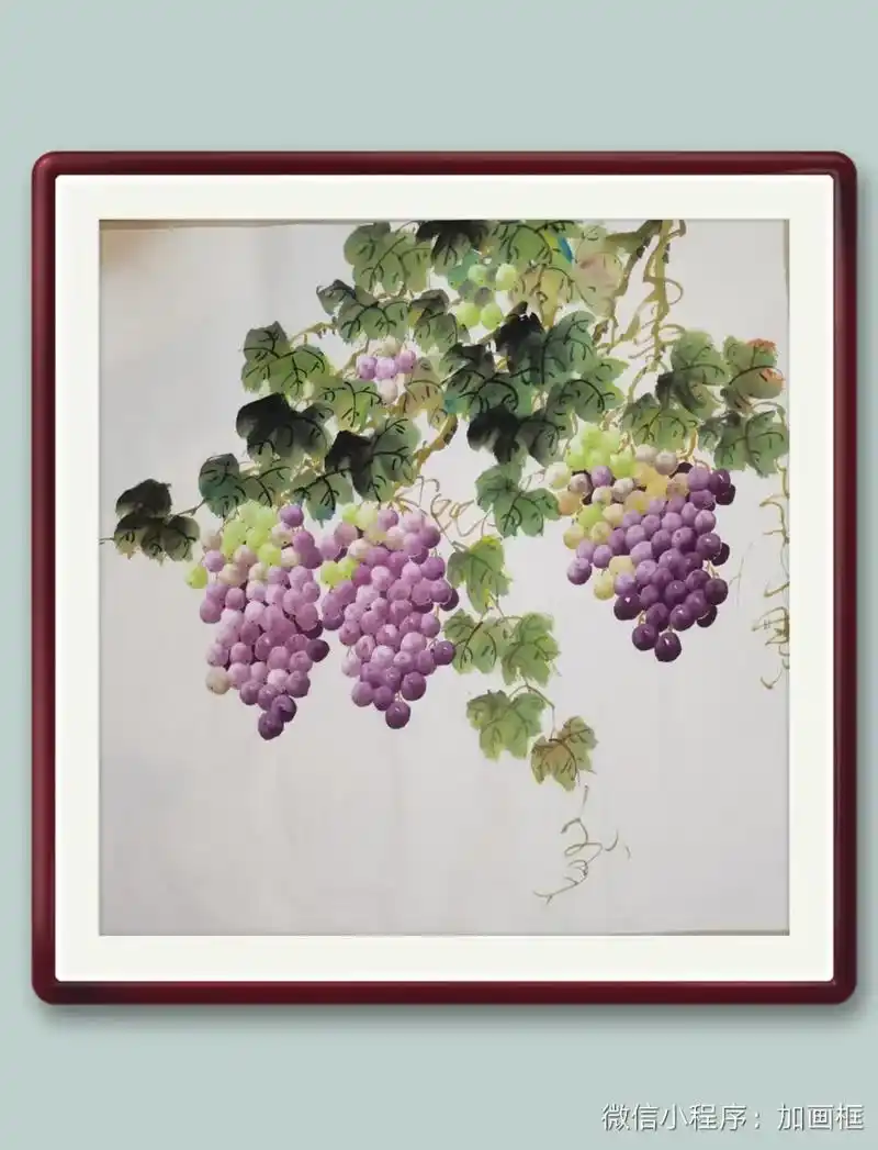 我的绘画作品放假在家继续画葡萄