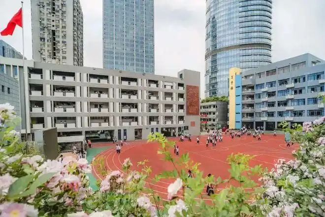 科利华中学发布中考成绩:玄武公办第一