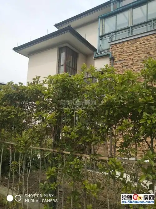 满两年院子大_常熟湖畔现代城(一区别墅)二手房_6室3厅4卫750平方1800