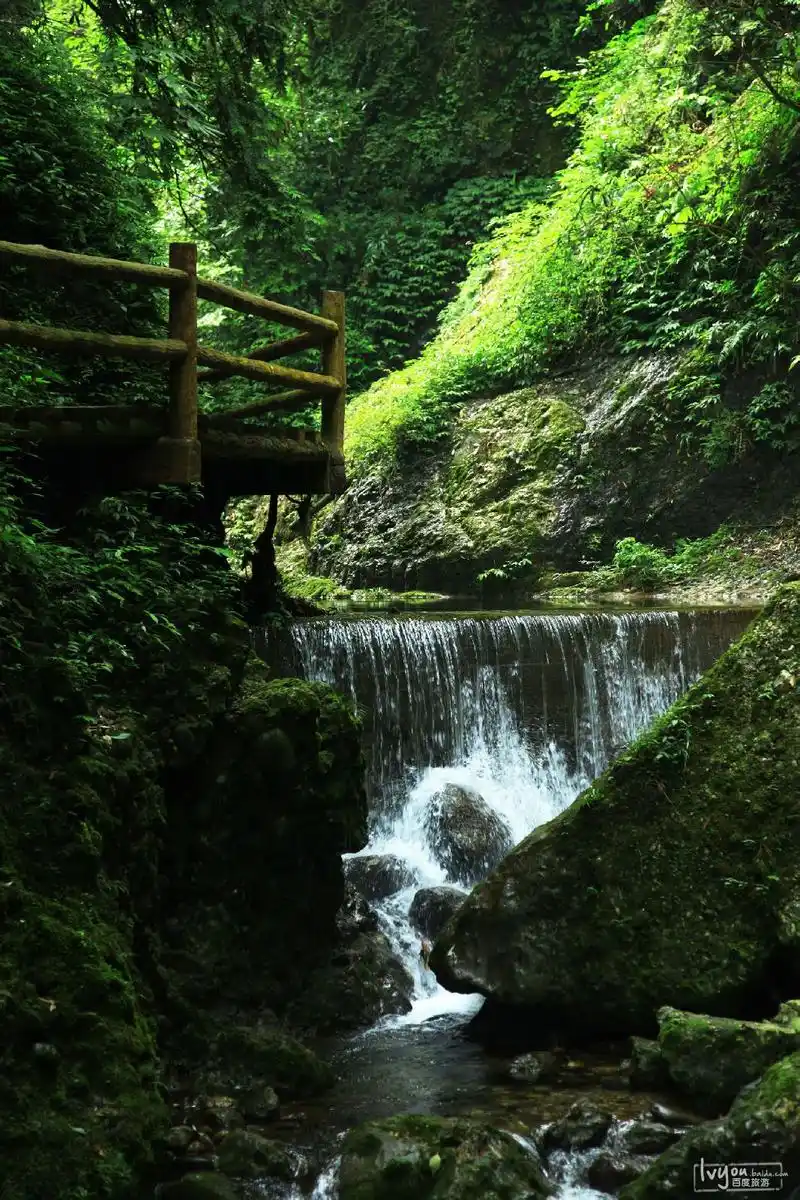 青城山-都江堰的主体景区,全国重点文物保护单位,国家重点风景名胜区