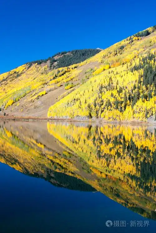 白杨树上水晶湖科罗拉多