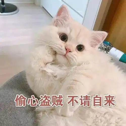 注意咯~  来咯来咯它真的来咯~ 海量  猫咪表情包开始放送~  偷心盗贼