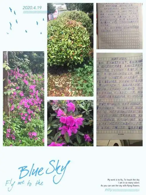 我眼中的春天——商城县实验小学六三班配图作文选