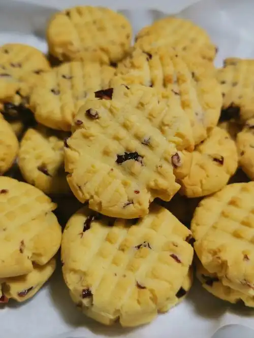 73简单易做的小零食蔓越莓牛奶小饼干