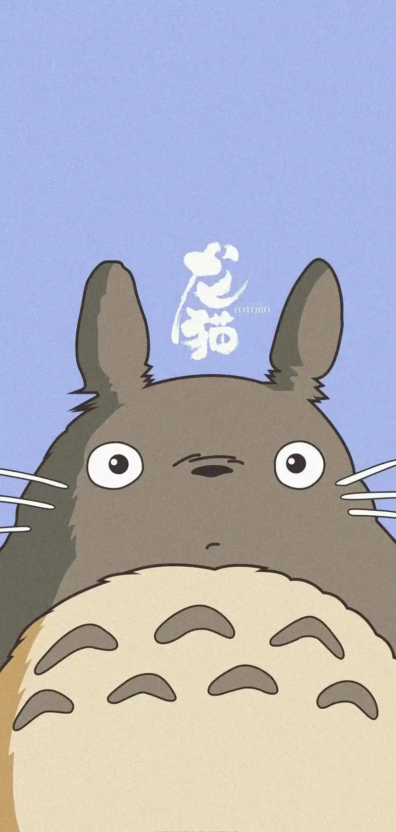 龙猫壁纸 #龙猫毛球 - 抖音