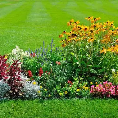 色彩斑斓的花坛,翠绿的草坪和蜿蜒的草丛,景色宜人.