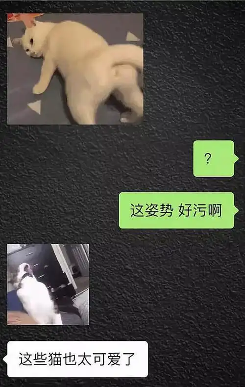 表现为两个萌萌的小猫咪缠在一起很亲密,或者是加上一些污污的文字,用