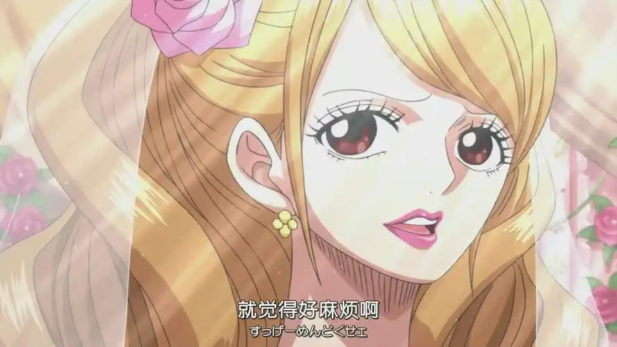 海贼王蛋糕岛篇自截布琳