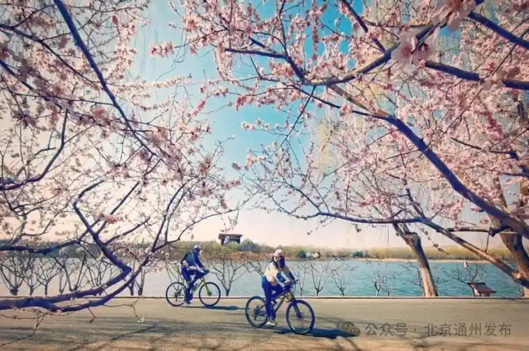 北京(通州)大运河5a级文化旅游景区正式揭牌!