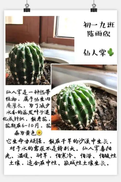 苔花如米小 也学牡丹开 —初一9班植物欣赏