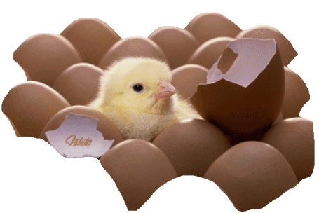 囡囡の奶瓶采集到【欧美动态窝窝兔】狗尾草资源社