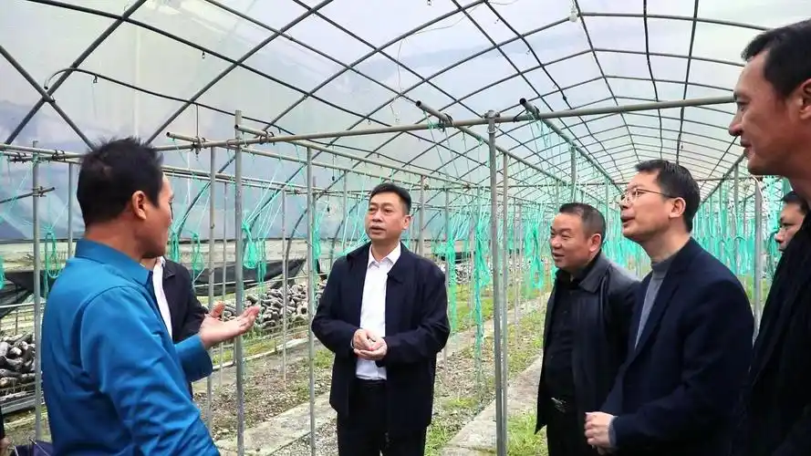 今日永州讯(新田融媒记者 刘姣)3月13日,新田县委副书记,县长黄永英到