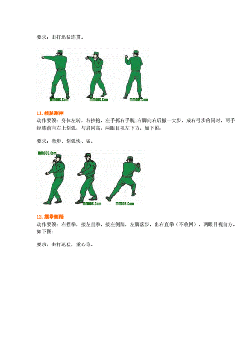 军体拳16式动作图解精要.doc