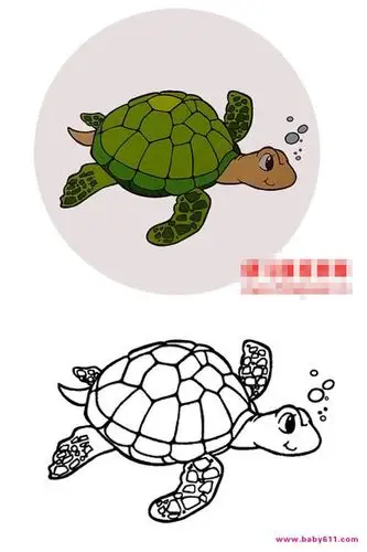 可对照涂色卡——小乌龟 - 涂色卡