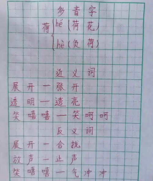 图说部编一年级第六单元《荷叶圆圆》基础知识