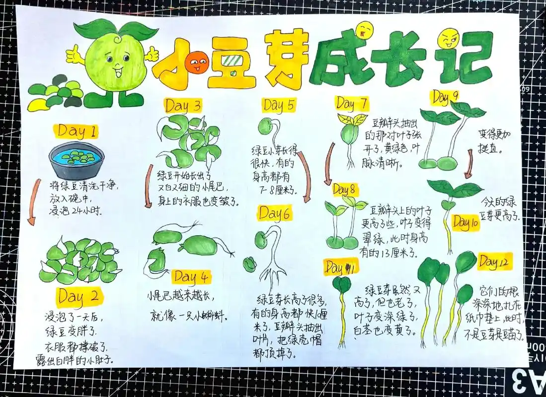 创作灵感 豆芽生长记录手抄报绘画简单又 - 抖音