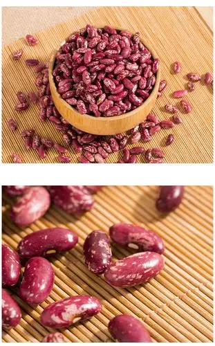 甘肃庆阳特产大花豆 大豆 熬粥 农家自种500g