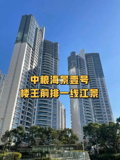 中粮海景壹号楼王位置前排一线江景