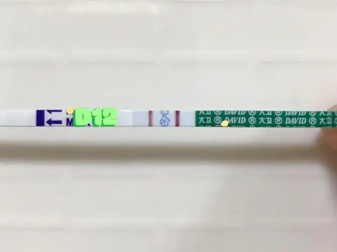 四移d12不含移植日