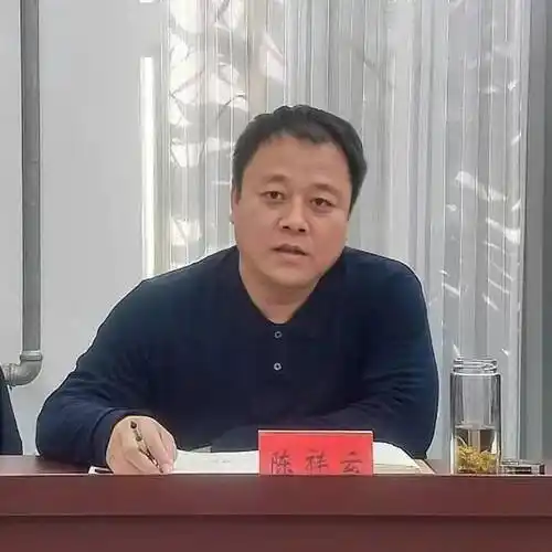 自我革命补齐短板会上,镇党委书记陈