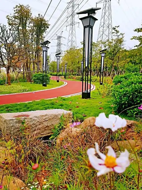 看翔安这条集运动休闲景观为一体的生态绿道