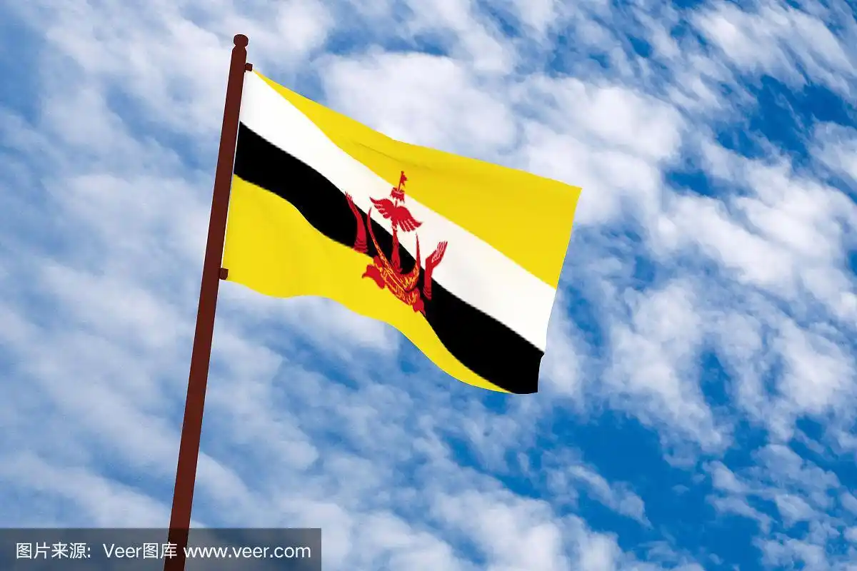 3d渲染文莱国旗